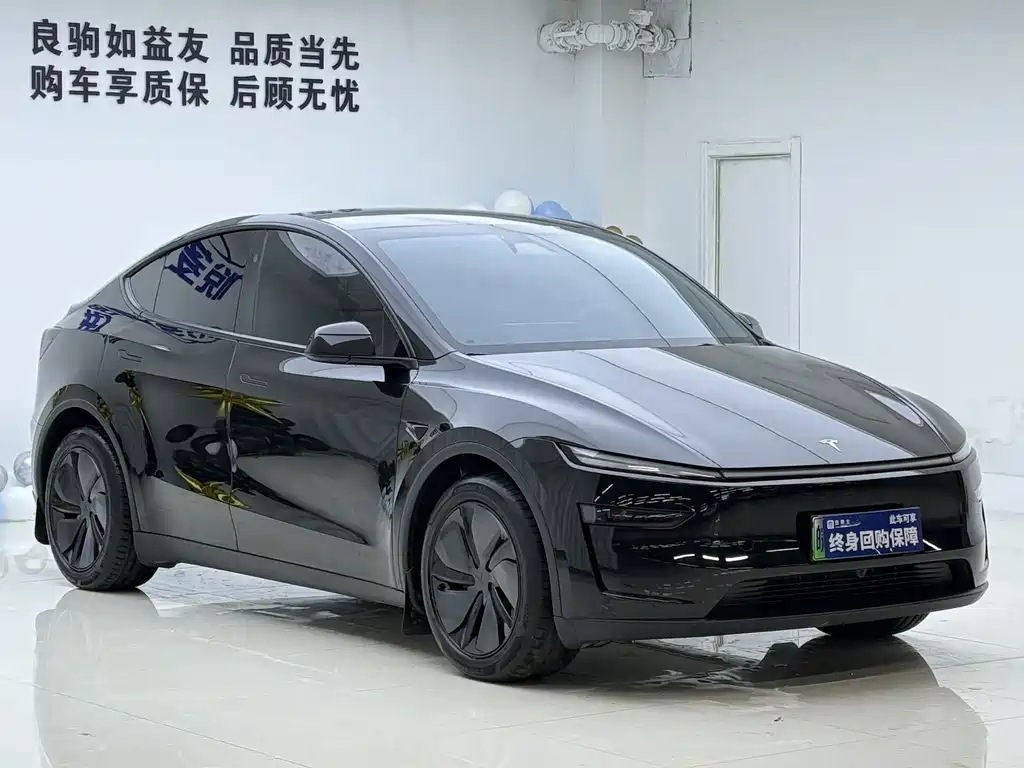 Tesla Model Y — фото 3