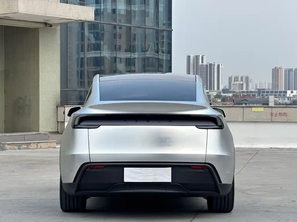 Tesla Model Y — фото 11