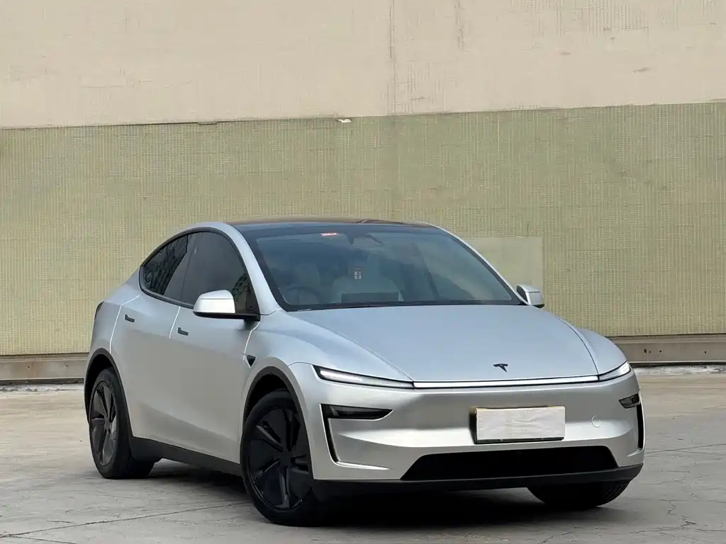 Tesla Model Y — фото 3