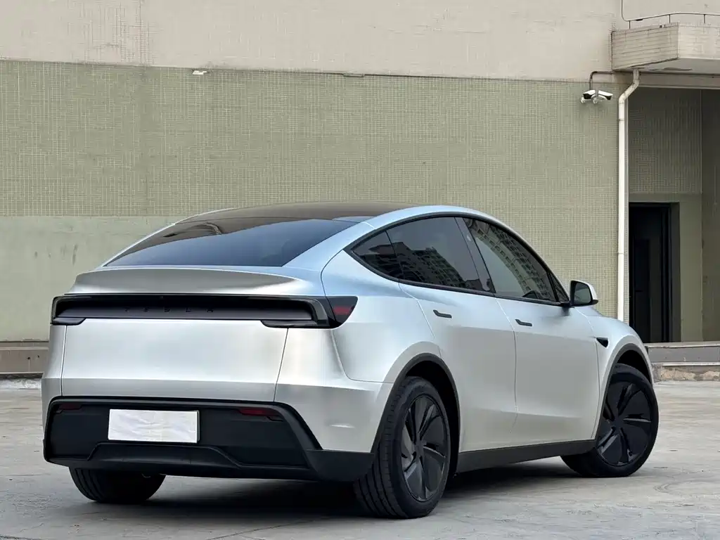 Tesla Model Y — фото 10