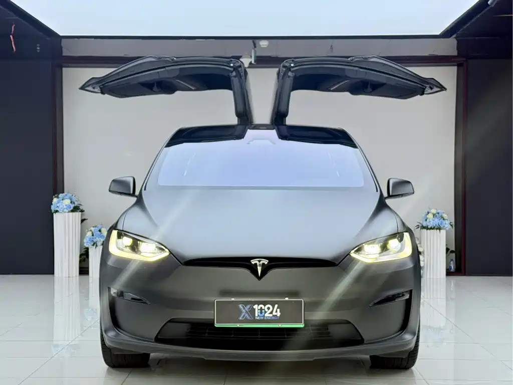 Tesla Model X — фото 2