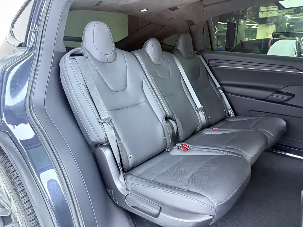 Tesla Model X — фото 13