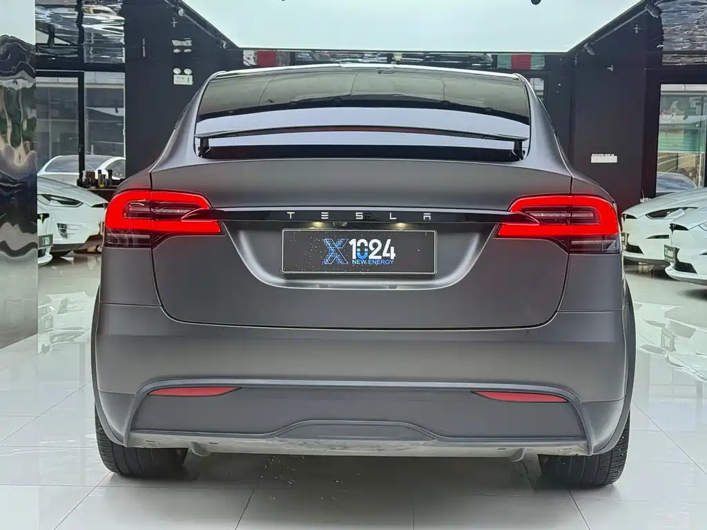 Tesla Model X — фото 17