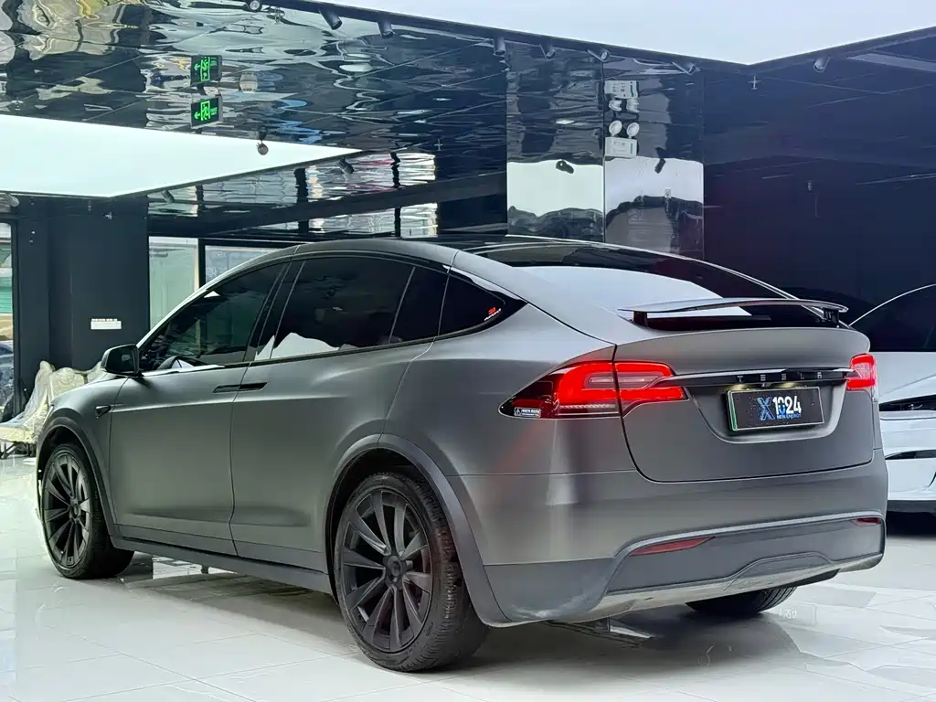 Tesla Model X — фото 18