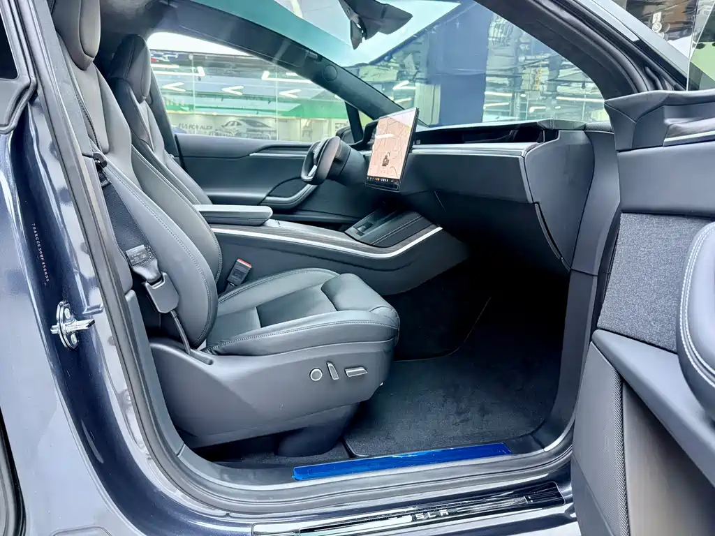 Tesla Model X — фото 10