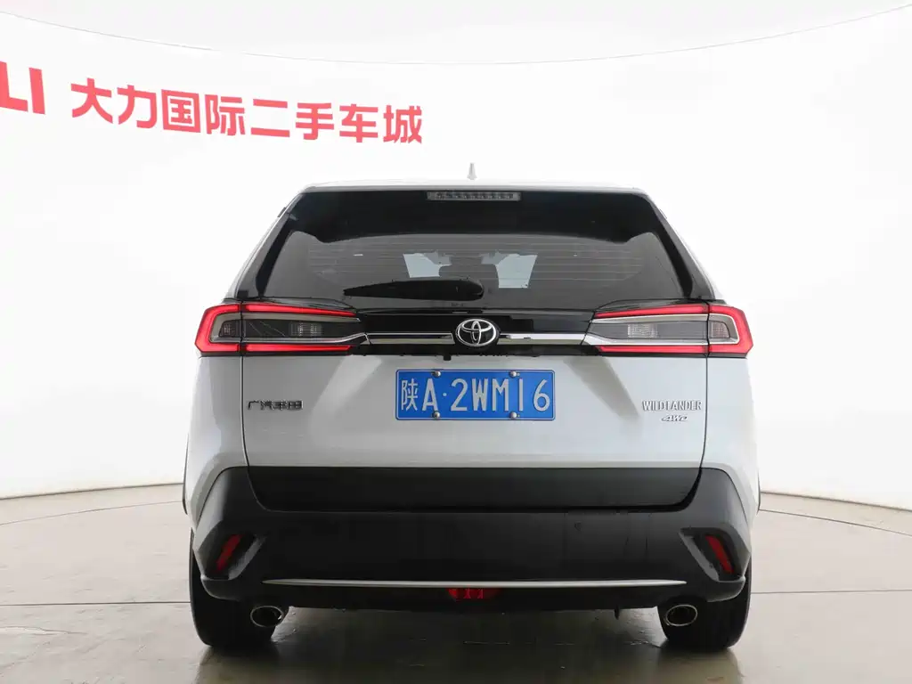 Toyota Wildlander — фото 15