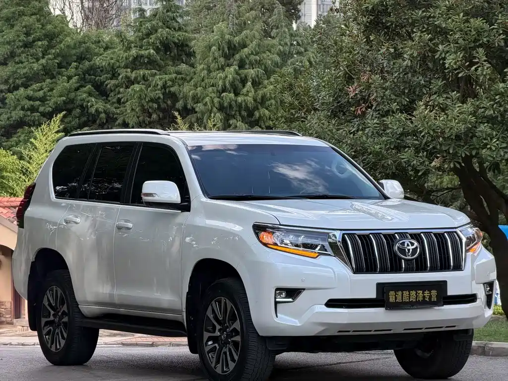 Toyota Prado (Import) — фото 28