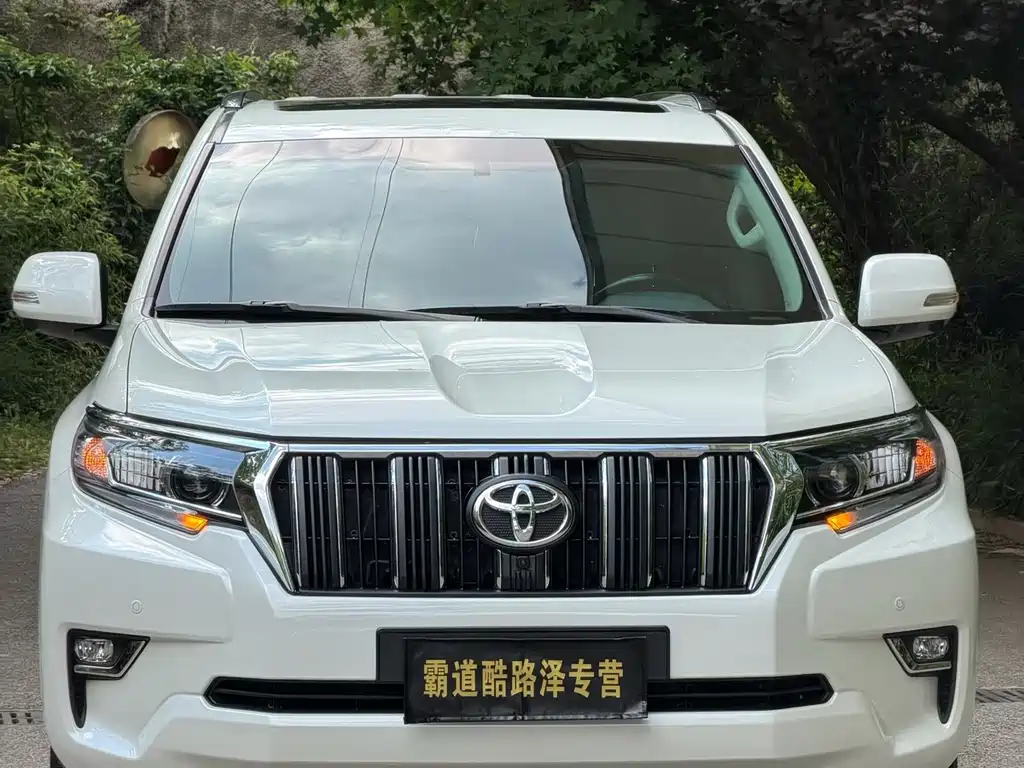 Toyota Prado (Import) — фото 29