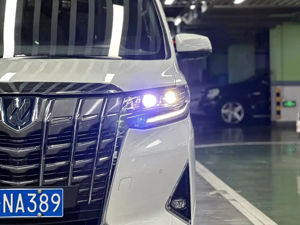 Toyota Alphard — фото 8