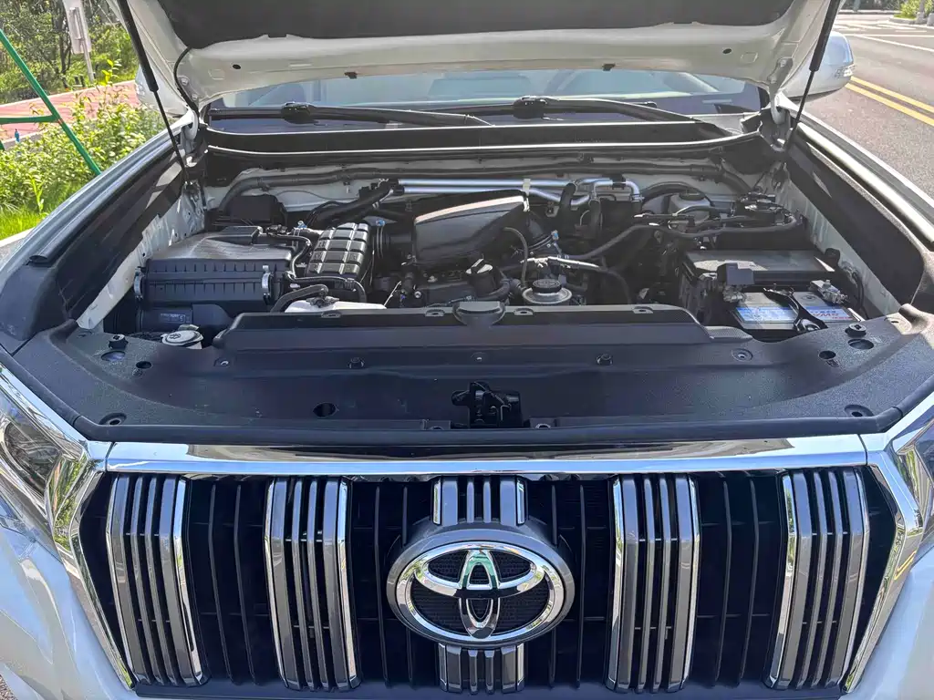 Toyota Prado (Import) — фото 14