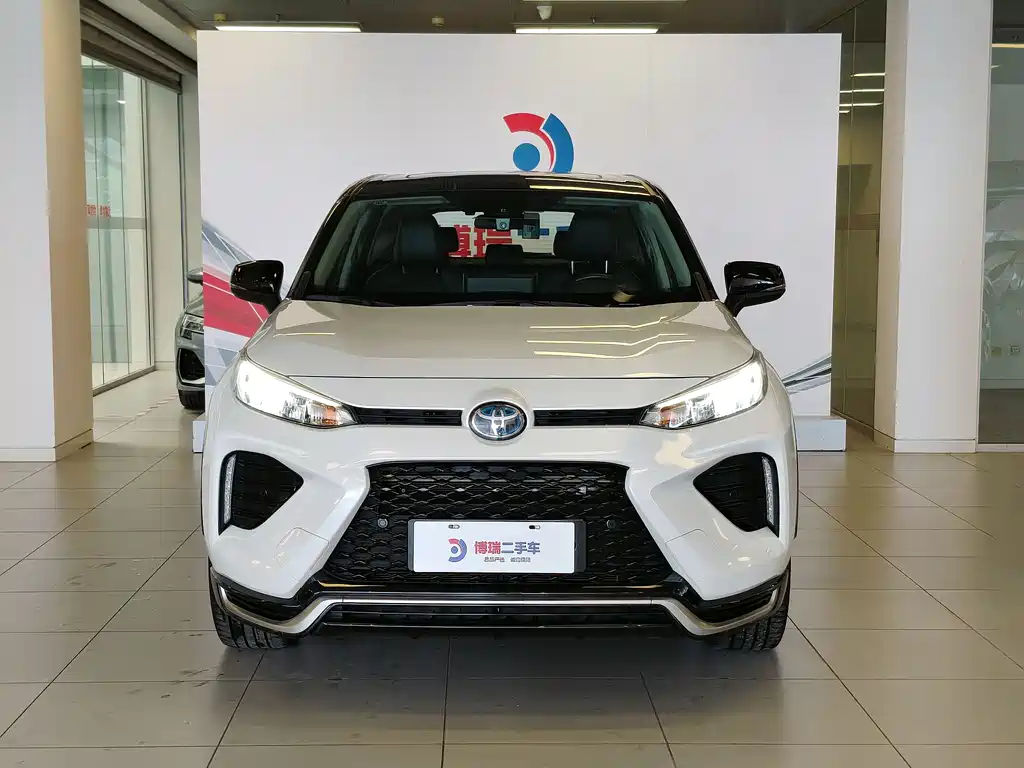Toyota Wildlander New Energy — фото 2