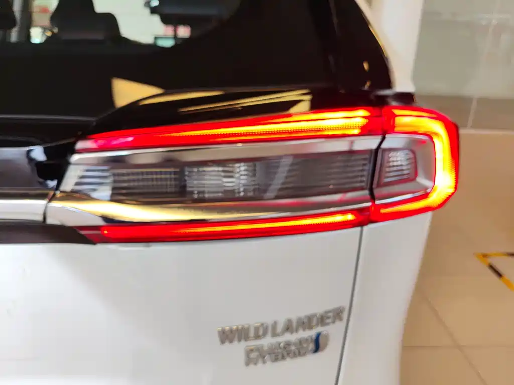 Toyota Wildlander New Energy — фото 33