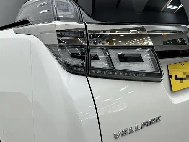 Toyota Alphard — фото 19