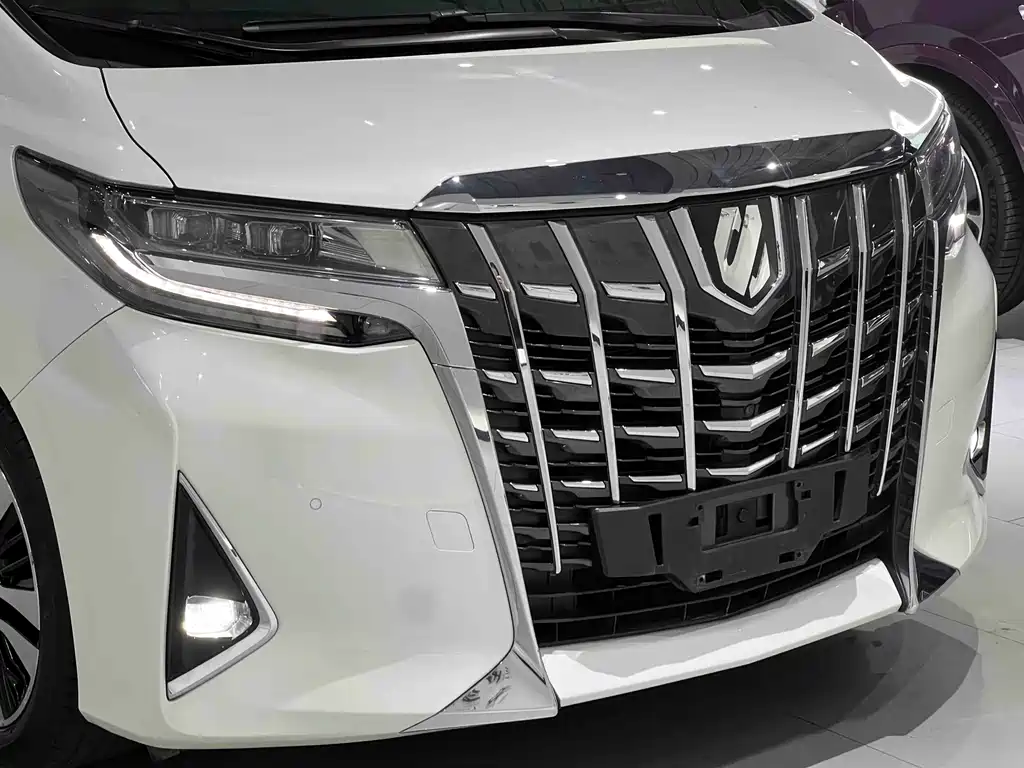 Toyota Alphard — фото 10