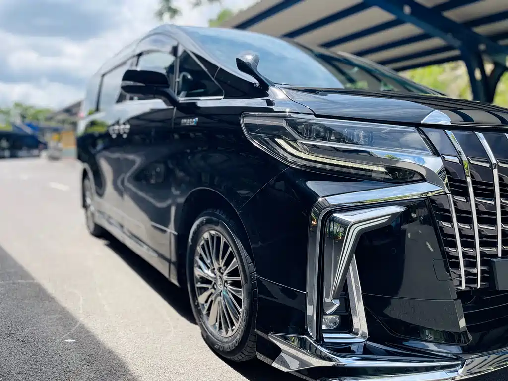 Toyota Alphard — фото 10