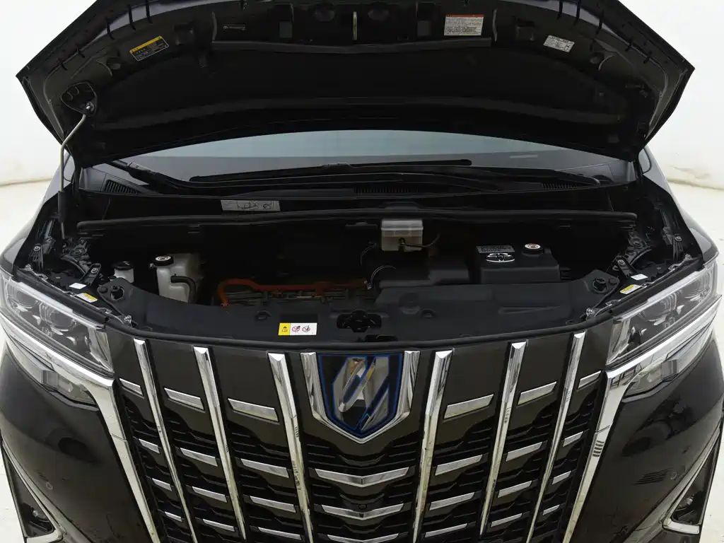 Toyota Alphard — фото 15