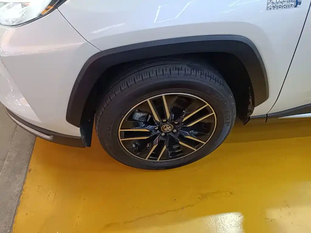 Toyota Wildlander New Energy — фото 23