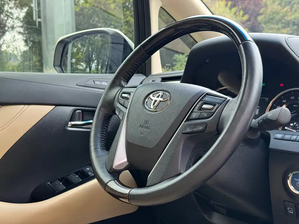 Toyota Alphard — фото 13