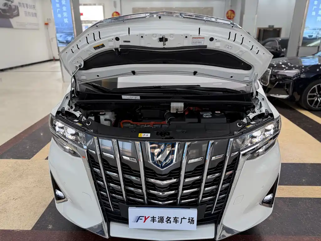 Toyota Alphard — фото 25