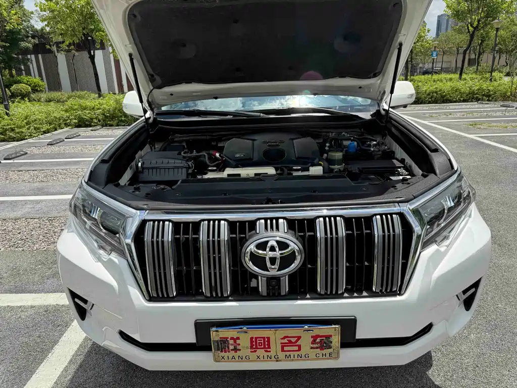 Toyota Prado (Import) — фото 8