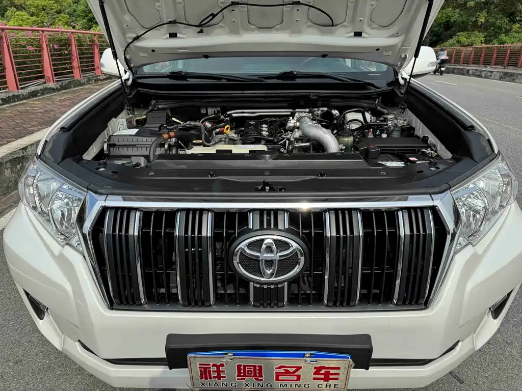 Toyota Prado (Import) — фото 13