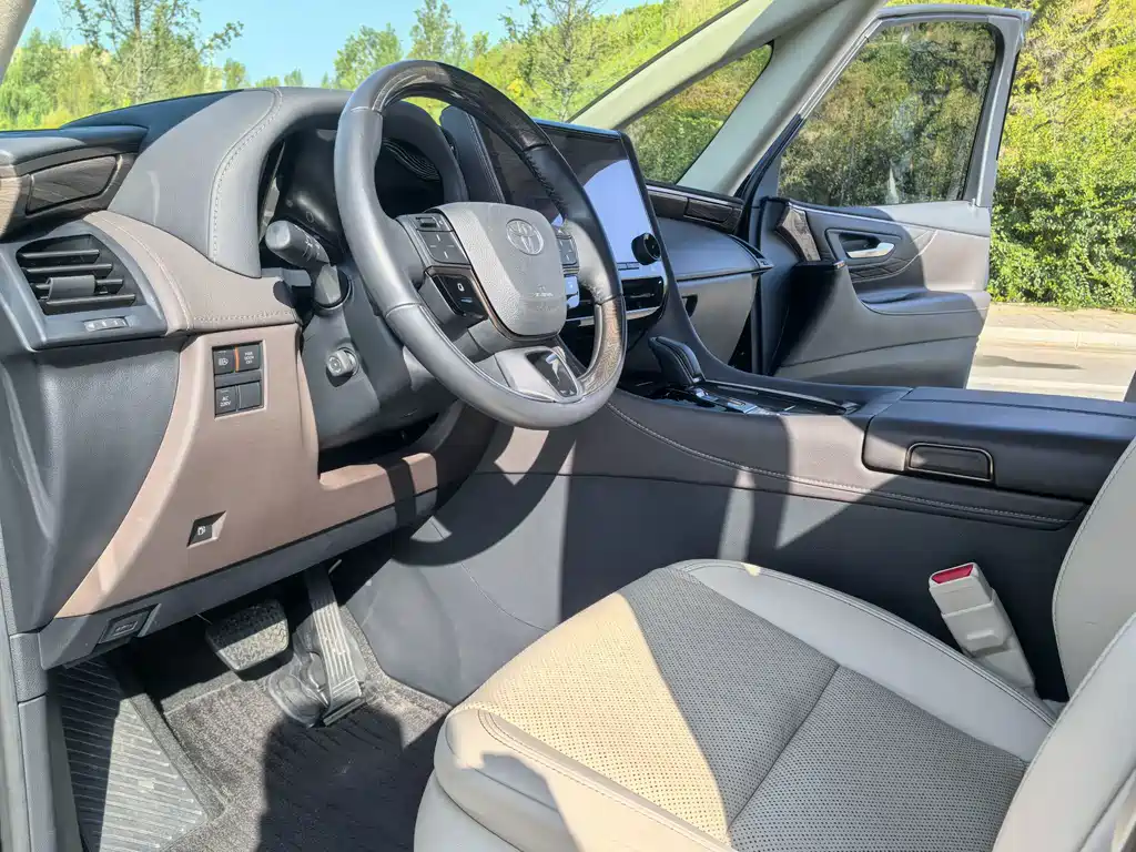 Toyota Alphard — фото 10
