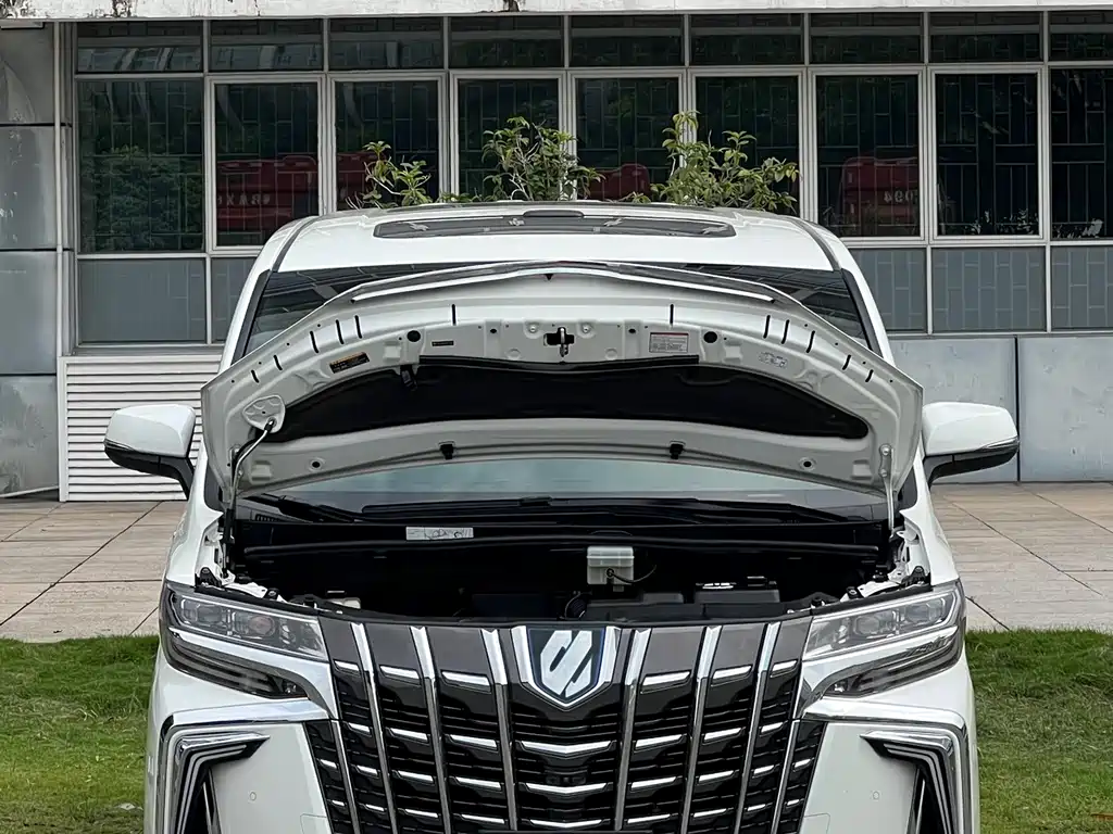 Toyota Alphard — фото 7