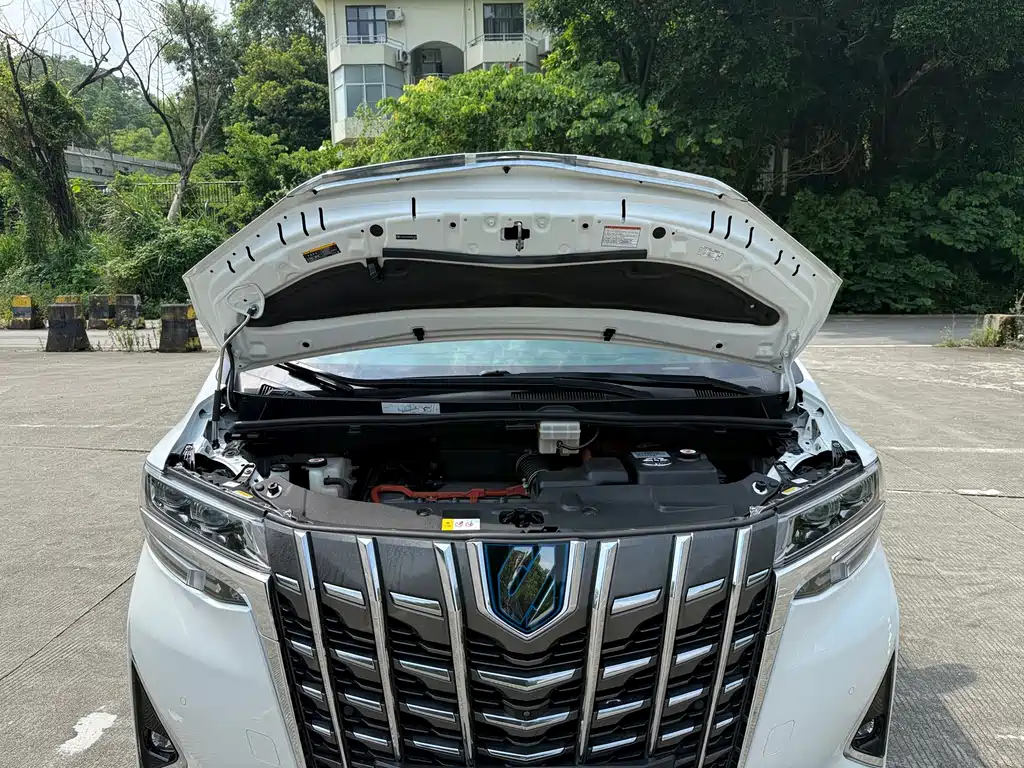 Toyota Alphard — фото 20