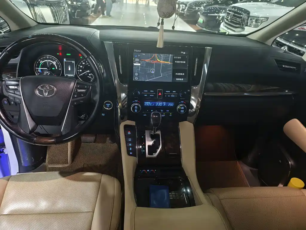 Toyota Alphard — фото 10