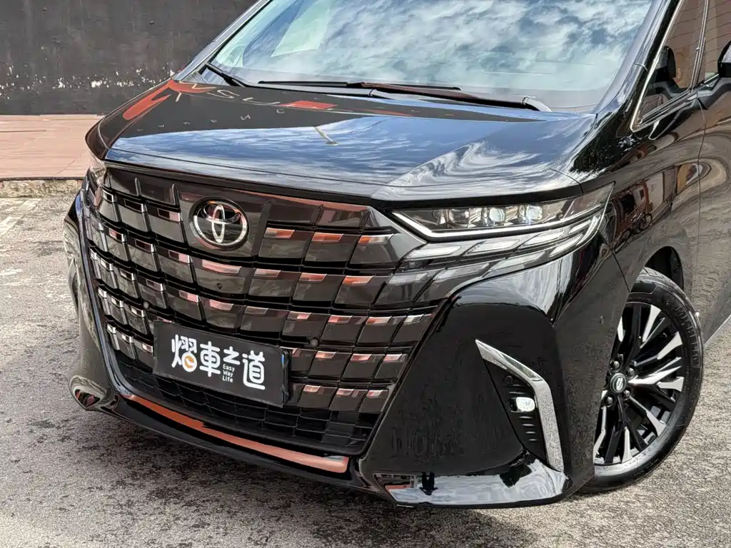 Toyota Alphard — фото 28