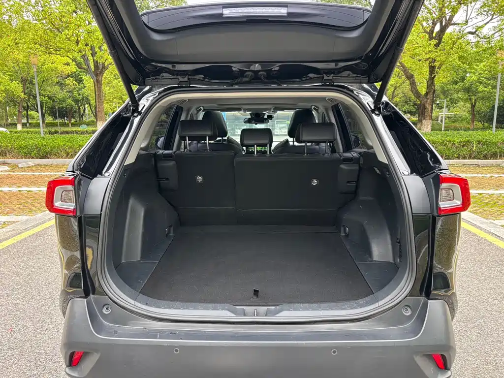 Toyota Wildlander — фото 15
