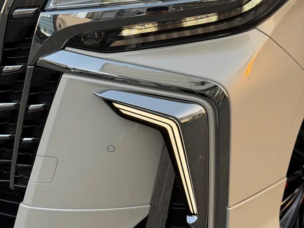 Toyota Alphard — фото 14