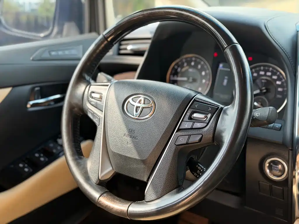 Toyota Alphard — фото 18