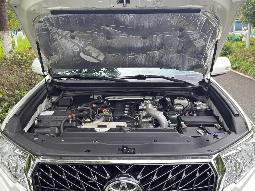 Toyota Prado (Import) — фото 17