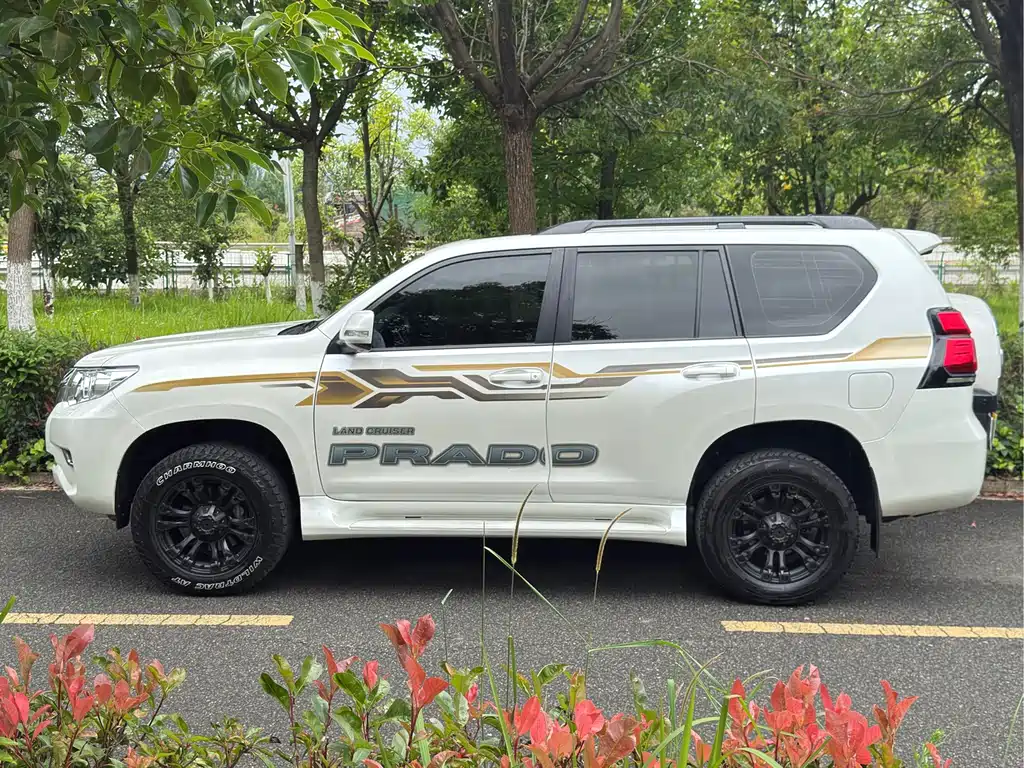 Toyota Prado (Import) — фото 6