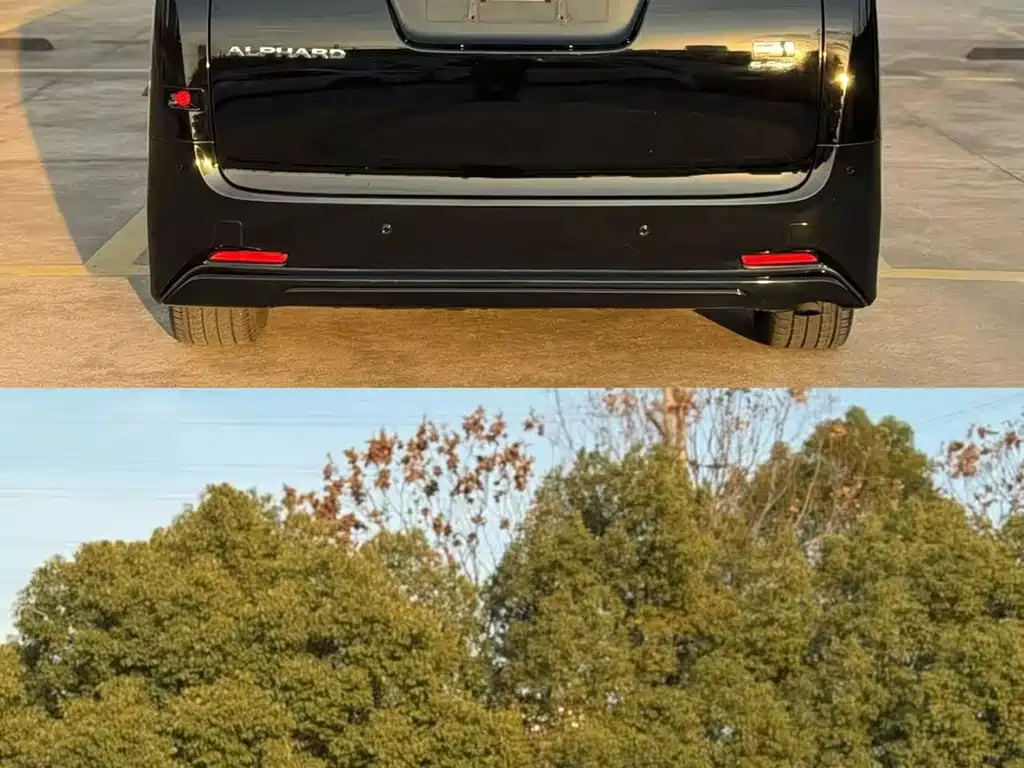 Toyota Alphard — фото 9