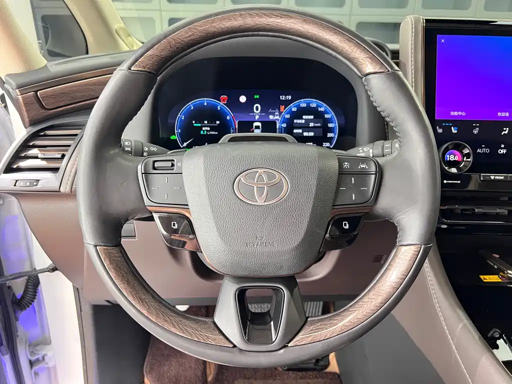 Toyota Alphard — фото 23