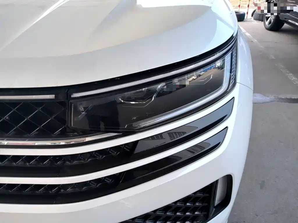 Volkswagen Tavendor — фото 24