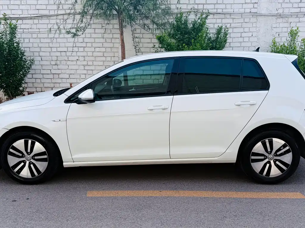 Volkswagen Golf New Energy (Import) — фото 3