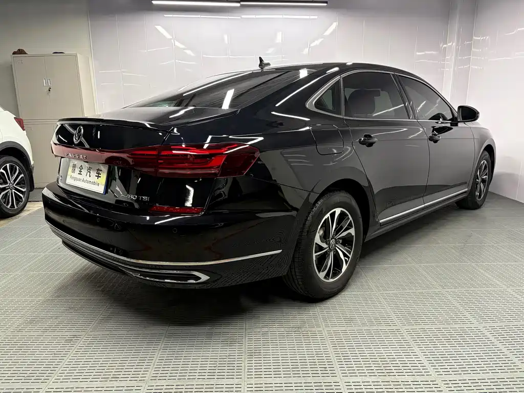Volkswagen Passat — фото 18