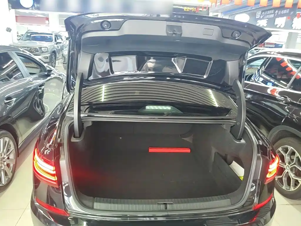 Volkswagen Passat — фото 19
