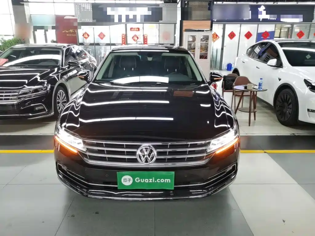 Volkswagen Phideon — фото 3