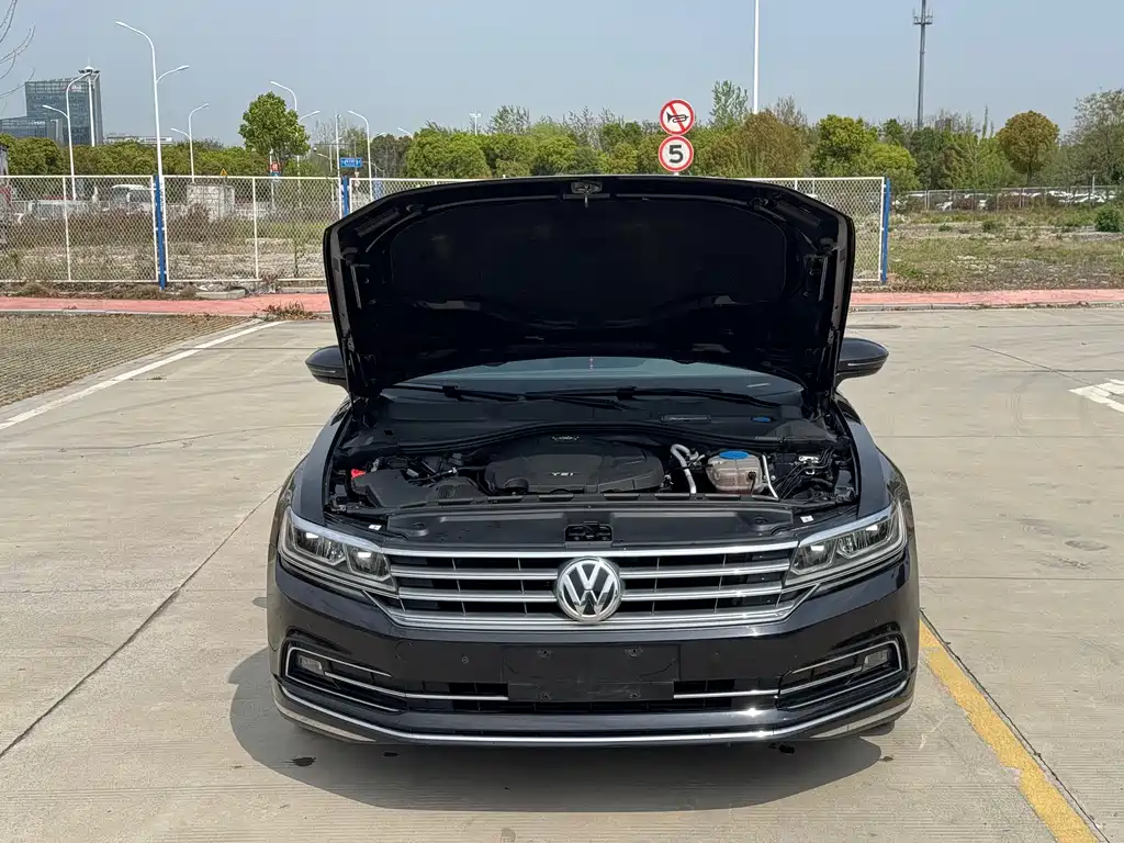 Volkswagen Phideon — фото 8