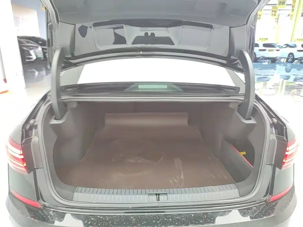 Volkswagen Passat — фото 19