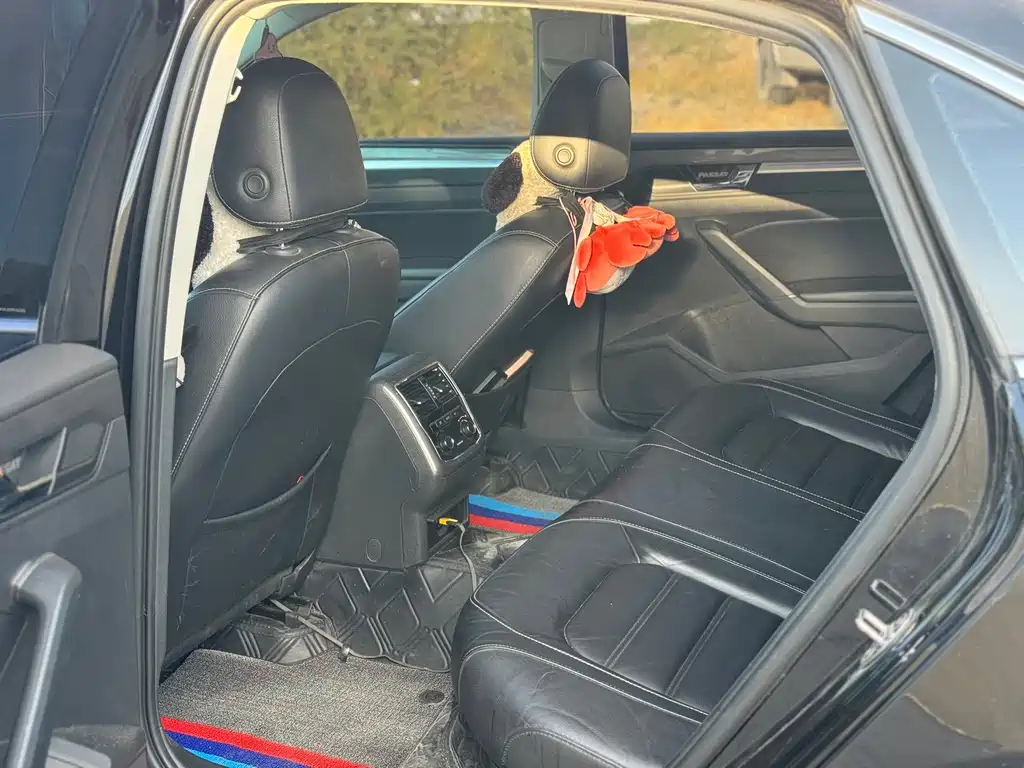 Volkswagen Passat — фото 6