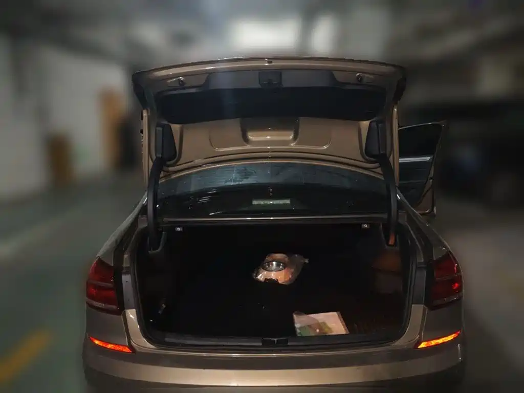 Volkswagen Passat — фото 10