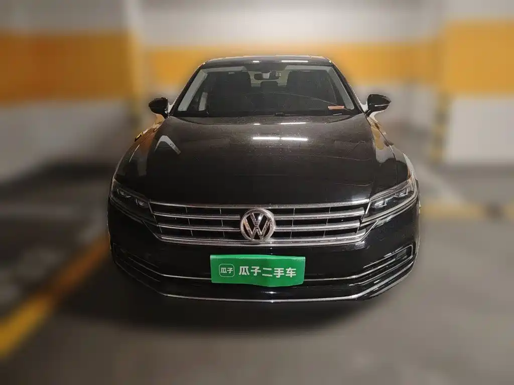 Volkswagen Phideon — фото 23