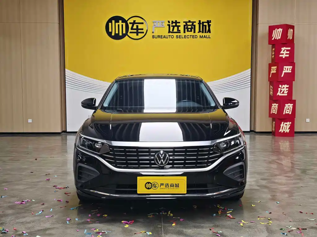 Volkswagen Passat — фото 2