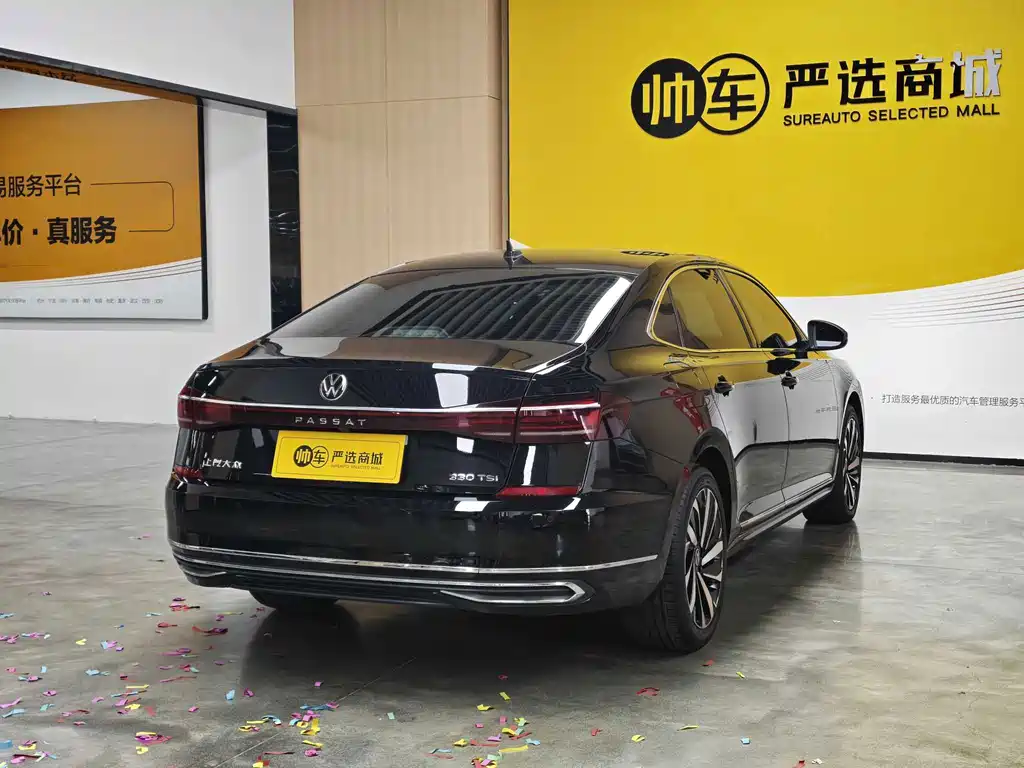 Volkswagen Passat — фото 6