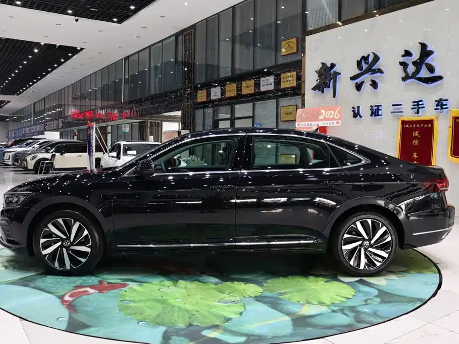 Volkswagen Passat — фото 3